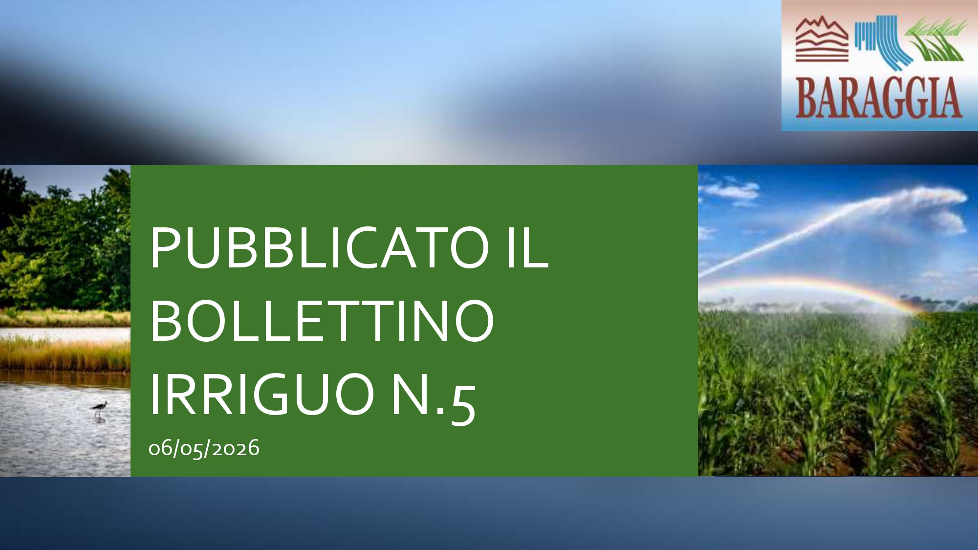 Pubblicato il bollettino irriguo n. 5 del 06.05.2026