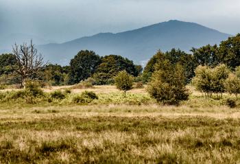RISERVA NATURALE DELLE BARAGGIE